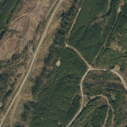 Gurnee Junction Alabama High Resolution Satellite Map