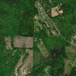 Gibsonville Alabama High Resolution Satellite Map