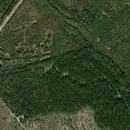 3249 Georgia 80, Waynesboro, GA 30830 High Resolution Satellite Map