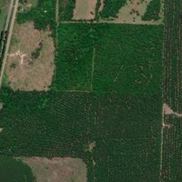 Burton Mill Arkansas High Resolution Satellite Map