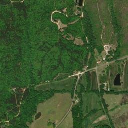 Shady Grove Alabama High Resolution Satellite Map