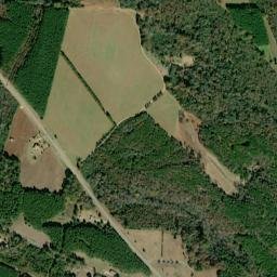 Garden Alabama High Resolution Satellite Map