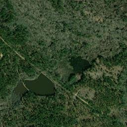 Payne Arkansas High Resolution Satellite Map