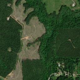 Eddings Town Alabama High Resolution Satellite Map