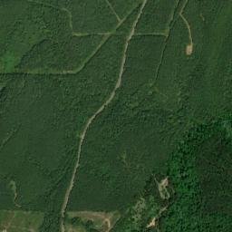 Garnsey Alabama High Resolution Satellite Map
