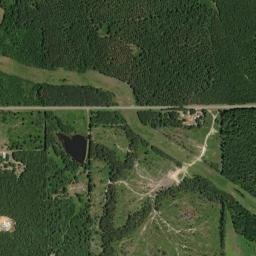 7152 FM995 Douglassville TX 75560 High Resolution Satellite Map