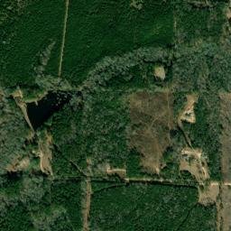 Foster Hill Arkansas High Resolution Satellite Map