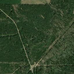 Lamberton Arkansas High Resolution Satellite Map