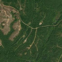 Belle Ellen Alabama High Resolution Satellite Map