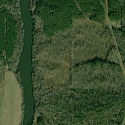 Louina Alabama High Resolution Satellite Map