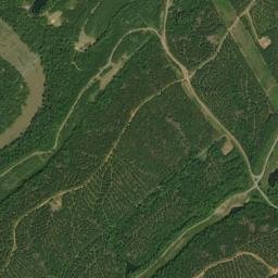 Seymour Alabama High Resolution Satellite Map