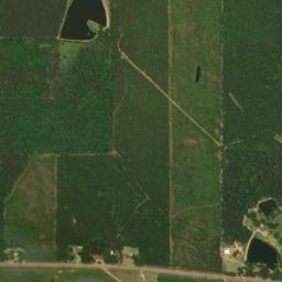 Mississippi 14, Louisville, MS 39339, USA High Resolution Satellite Map