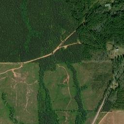 Truett Alabama High Resolution Satellite Map