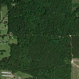 Bolding Arkansas High Resolution Satellite Map