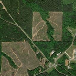 Goldville Alabama High Resolution Satellite Map