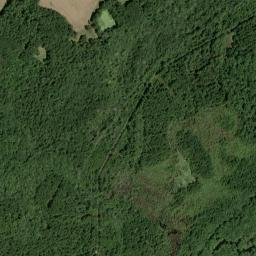 Dorchester County map(satellite map)