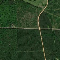 Dollar Junction Arkansas High Resolution Satellite Map