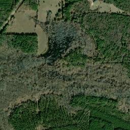 Sulphur Springs Arkansas High Resolution Satellite Map