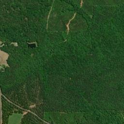 17380-17382 Highway 49 South, Daviston High Resolution Satellite Map