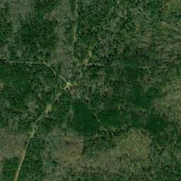 Finley Alabama High Resolution Satellite Map