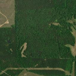 Mississippi 12, Sallis, MS 39160, USA High Resolution Satellite Map