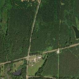 Snoddy Alabama High Resolution Satellite Map
