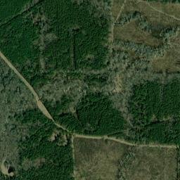 Ware Arkansas High Resolution Satellite Map