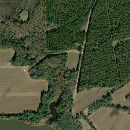 Vienna Alabama High Resolution Satellite Map