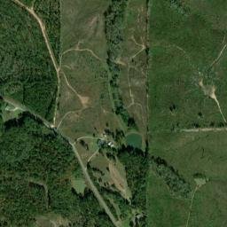 Bosworth Alabama High Resolution Satellite Map