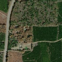 Rawls Arkansas High Resolution Satellite Map