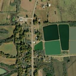 Dancy Alabama High Resolution Satellite Map