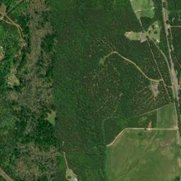 Soleo Alabama High Resolution Satellite Map