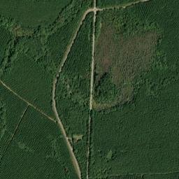 Ridge Alabama High Resolution Satellite Map