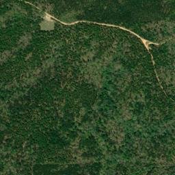 Little Hope Alabama High Resolution Satellite Map