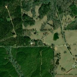 Gold Branch Alabama High Resolution Satellite Map