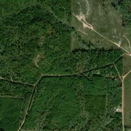 Denver Alabama High Resolution Satellite Map