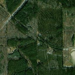 County Road 4102, Sallis, MS 39160, USA High Resolution Satellite Map