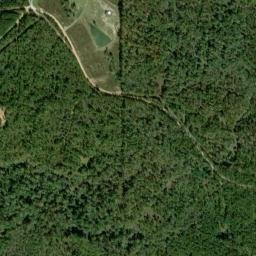 Tiller Crossroads Alabama High Resolution Satellite Map