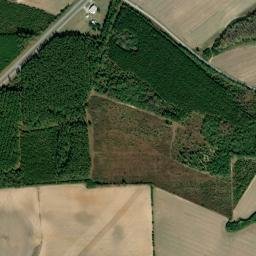 Allendale County map(satellite map)