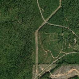 County Road 50, Moundville, AL 35474 High Resolution Satellite Map