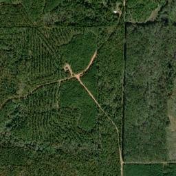 Hampton Alabama High Resolution Satellite Map