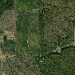 Buttston Alabama High Resolution Satellite Map