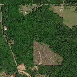 Guinea Alabama High Resolution Satellite Map