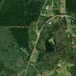 Pondville Alabama High Resolution Satellite Map