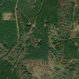 Fisher Road, Jefferson, TX 75657, USA High Resolution Satellite Map