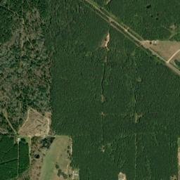 Louisiana 15, Farmerville, LA 71241, USA High Resolution Satellite Map