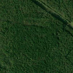 Satellite view of Shadowmoss Plantation Golf Club