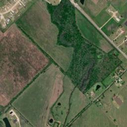 McLendon-Chisholm map(satellite map)