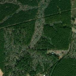 Union Parish map(satellite map)