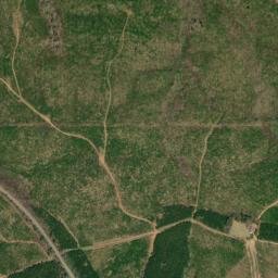 Slaughters Alabama High Resolution Satellite Map